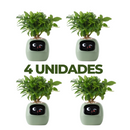 Vaso de planta inteligente- SmartBloom Charmed Love