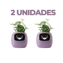 Vaso de planta inteligente- SmartBloom Charmed Love