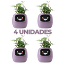 Vaso de planta inteligente- SmartBloom Charmed Love