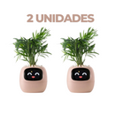 Vaso de planta inteligente- SmartBloom Charmed Love