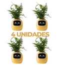 Vaso de planta inteligente- SmartBloom Charmed Love