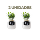 Vaso de planta inteligente- SmartBloom Charmed Love