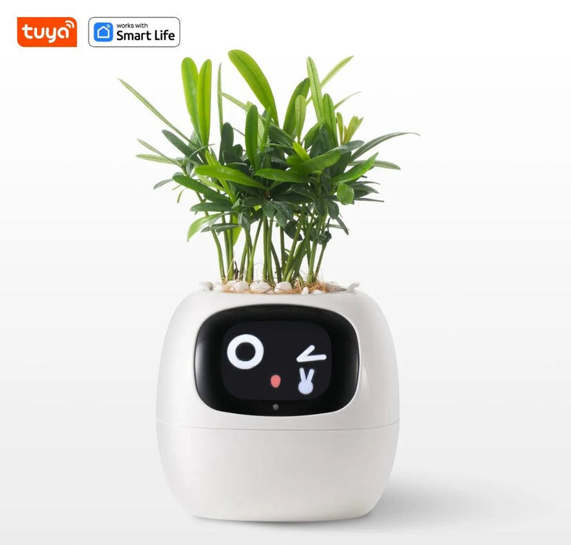 Vaso de planta inteligente- SmartBloom Charmed Love